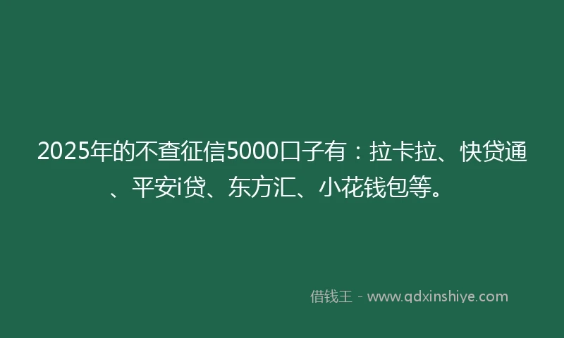 2025年的不查征信5000口子有：拉卡拉、快贷通、平安i贷、东方汇、小花钱包等。