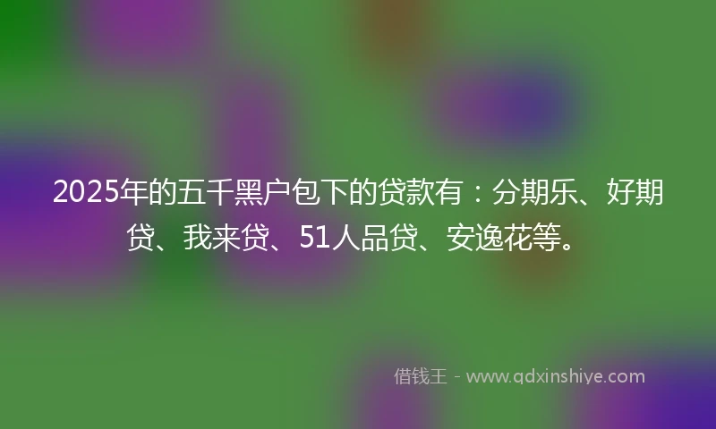 2025年的五千黑户包下的贷款有：分期乐、好期贷、我来贷、51人品贷、安逸花等。