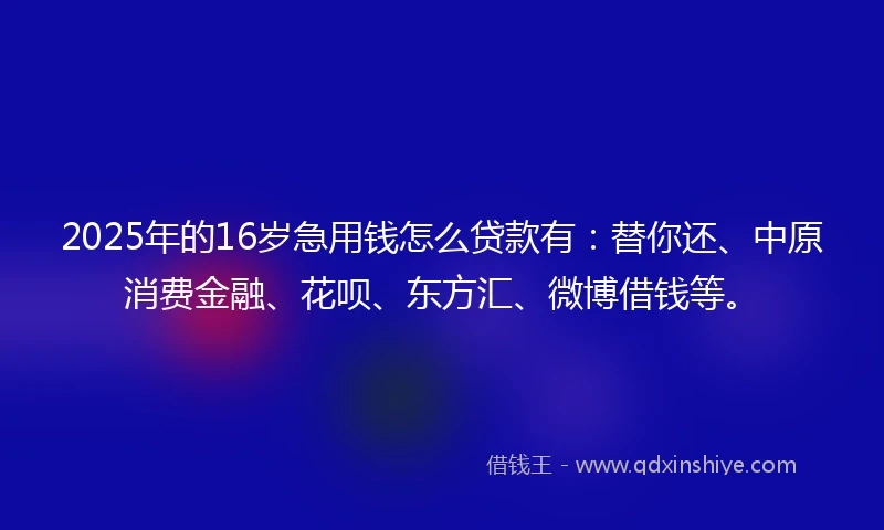 2025年的16岁急用钱怎么贷款有：替你还、中原消费金融、花呗、东方汇、微博借钱等。