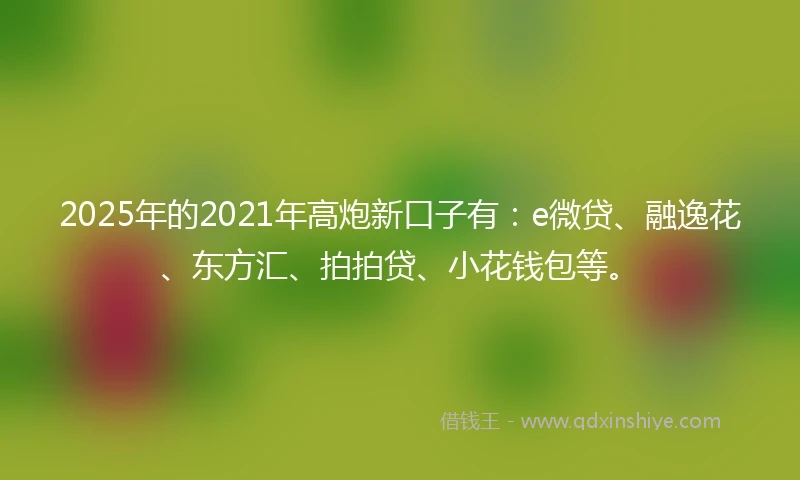 2025年的2021年高炮新口子有：e微贷、融逸花、东方汇、拍拍贷、小花钱包等。
