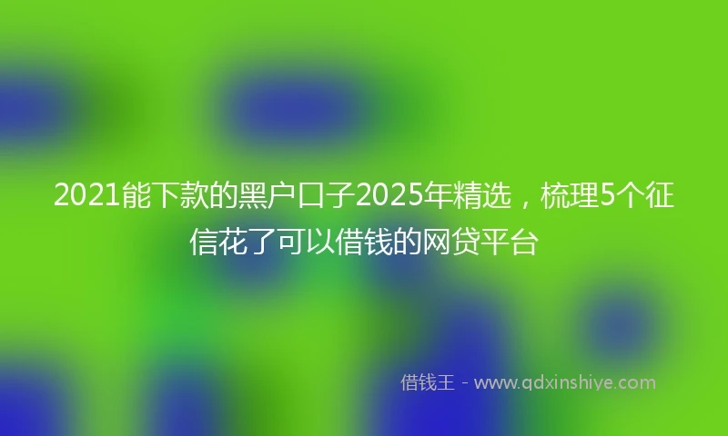 2021能下款的黑户口子2025年精选，梳理5个征信花了可以借钱的网贷平台