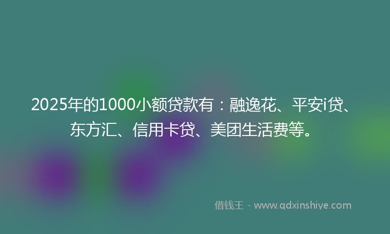 2025年的1000小额贷款有：融逸花、平安i贷、东方汇、信用卡贷、美团生活费等。