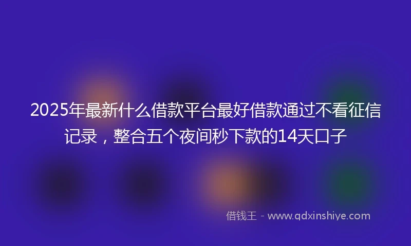 2025年最新什么借款平台最好借款通过不看征信记录，整合五个夜间秒下款的14天口子
