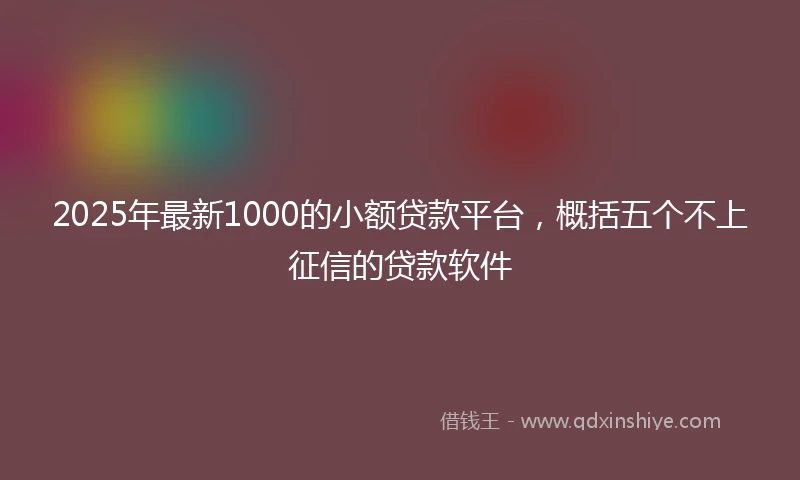2025年最新1000的小额贷款平台，概括五个不上征信的贷款软件