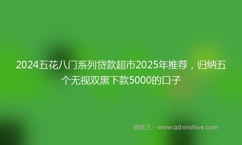 2024五花八门系列贷款超市2025年推荐，归纳五个无视双黑下款5000的口子