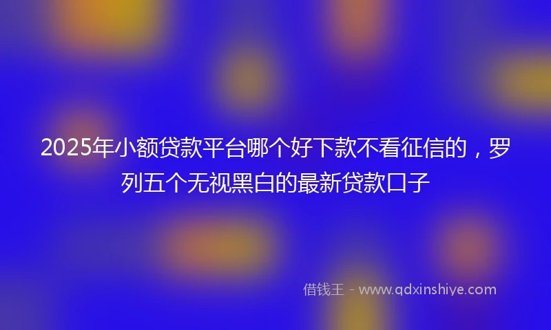2025年小额贷款平台哪个好下款不看征信的，罗列五个无视黑白的最新贷款口子