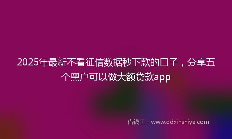 2025年最新不看征信数据秒下款的口子，分享五个黑户可以做大额贷款app