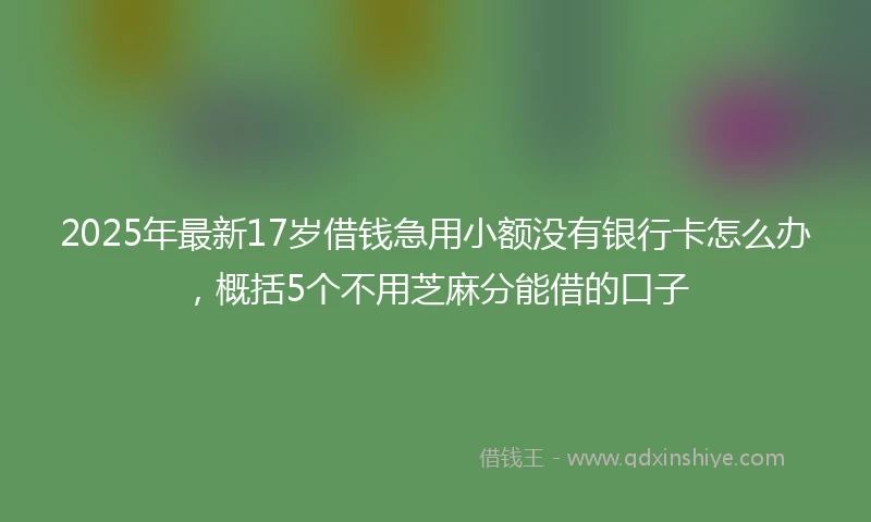 2025年最新17岁借钱急用小额没有银行卡怎么办，概括5个不用芝麻分能借的口子