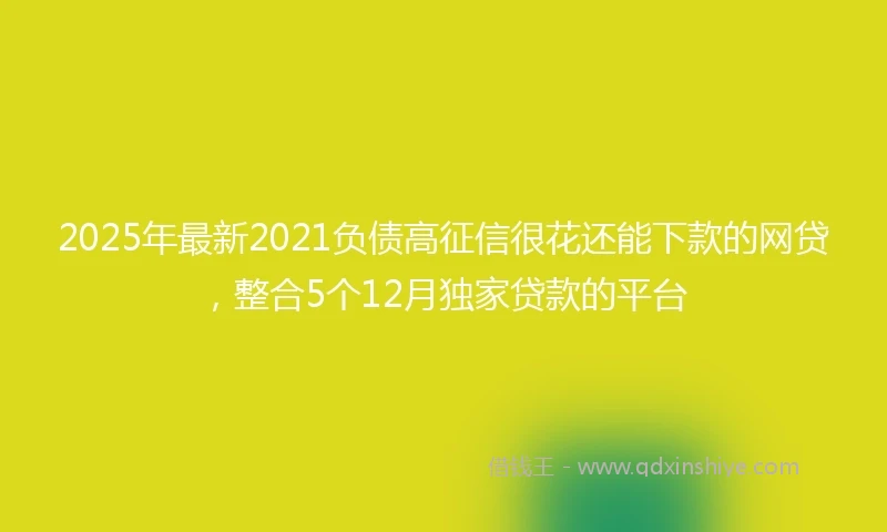 2025年最新2021负债高征信很花还能下款的网贷，整合5个12月独家贷款的平台