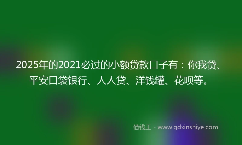 2025年的2021必过的小额贷款口子有：你我贷、平安口袋银行、人人贷、洋钱罐、花呗等。