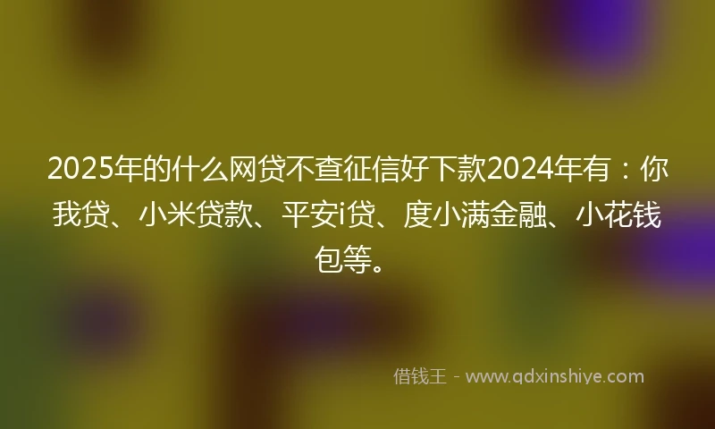 2025年的什么网贷不查征信好下款2024年有：你我贷、小米贷款、平安i贷、度小满金融、小花钱包等。