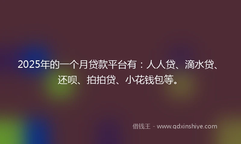 2025年的一个月贷款平台有：人人贷、滴水贷、还呗、拍拍贷、小花钱包等。