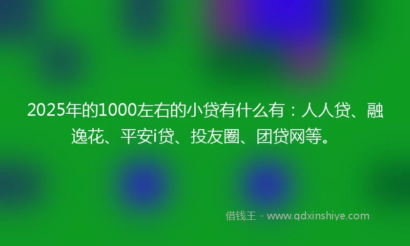 2025年的1000左右的小贷有什么有：人人贷、融逸花、平安i贷、投友圈、团贷网等。
