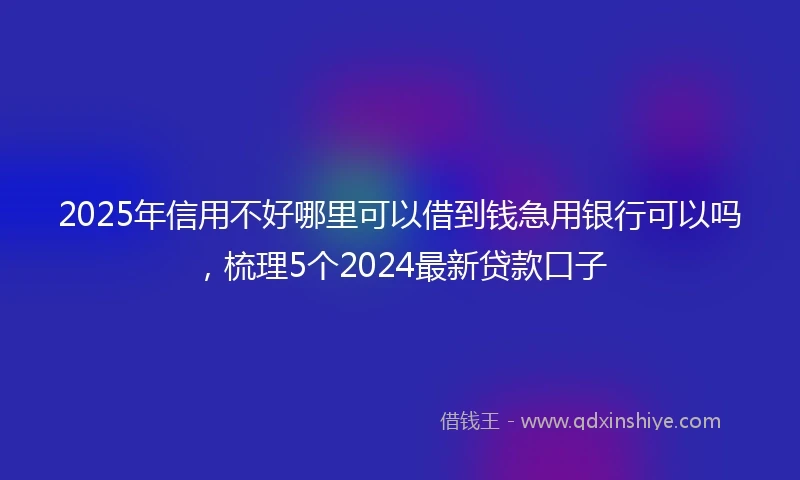 2025年信用不好哪里可以借到钱急用银行可以吗，梳理5个2024最新贷款口子