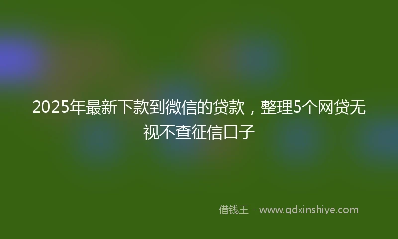 2025年最新下款到微信的贷款，整理5个网贷无视不查征信口子