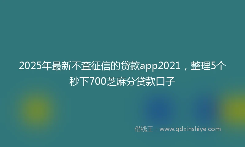 2025年最新不查征信的贷款app2021，整理5个秒下700芝麻分贷款口子