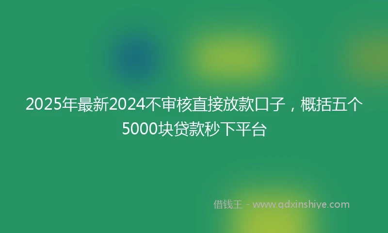 2025年最新2024不审核直接放款口子，概括五个5000块贷款秒下平台