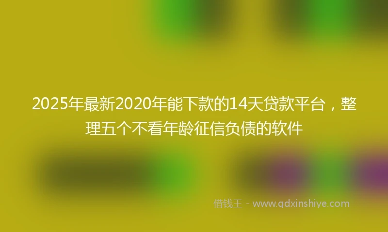 2025年最新2020年能下款的14天贷款平台，整理五个不看年龄征信负债的软件