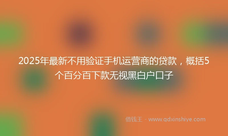 2025年最新不用验证手机运营商的贷款，概括5个百分百下款无视黑白户口子