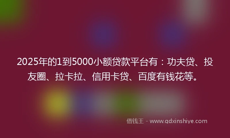 2025年的1到5000小额贷款平台有：功夫贷、投友圈、拉卡拉、信用卡贷、百度有钱花等。