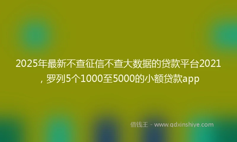 2025年最新不查征信不查大数据的贷款平台2021，罗列5个1000至5000的小额贷款app