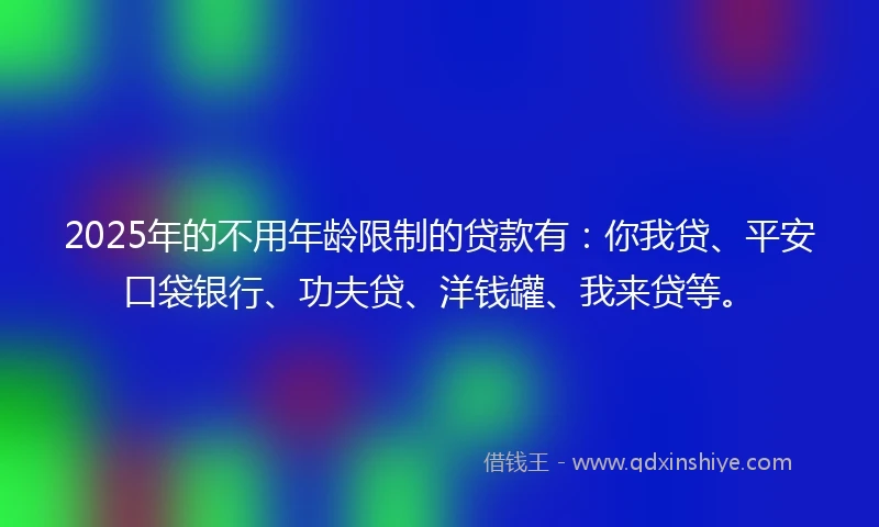 2025年的不用年龄限制的贷款有：你我贷、平安口袋银行、功夫贷、洋钱罐、我来贷等。