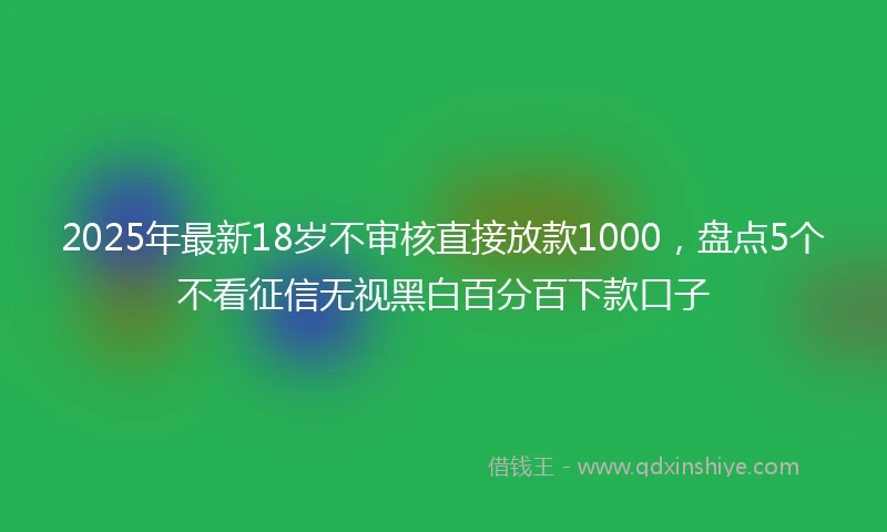 2025年最新18岁不审核直接放款1000，盘点5个不看征信无视黑白百分百下款口子