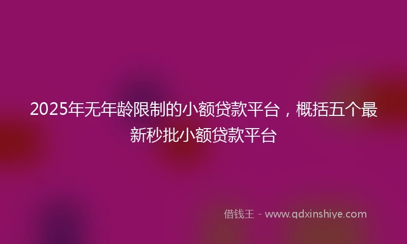 2025年无年龄限制的小额贷款平台，概括五个最新秒批小额贷款平台