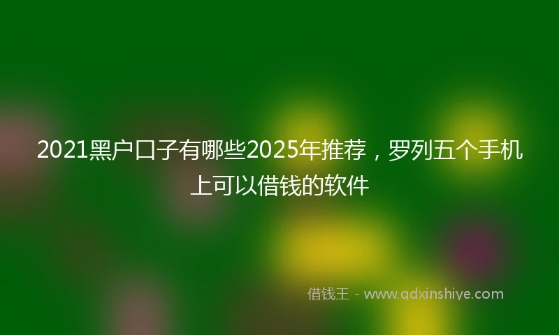 2021黑户口子有哪些2025年推荐，罗列五个手机上可以借钱的软件