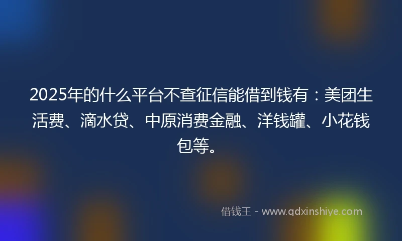 2025年的什么平台不查征信能借到钱有：美团生活费、滴水贷、中原消费金融、洋钱罐、小花钱包等。