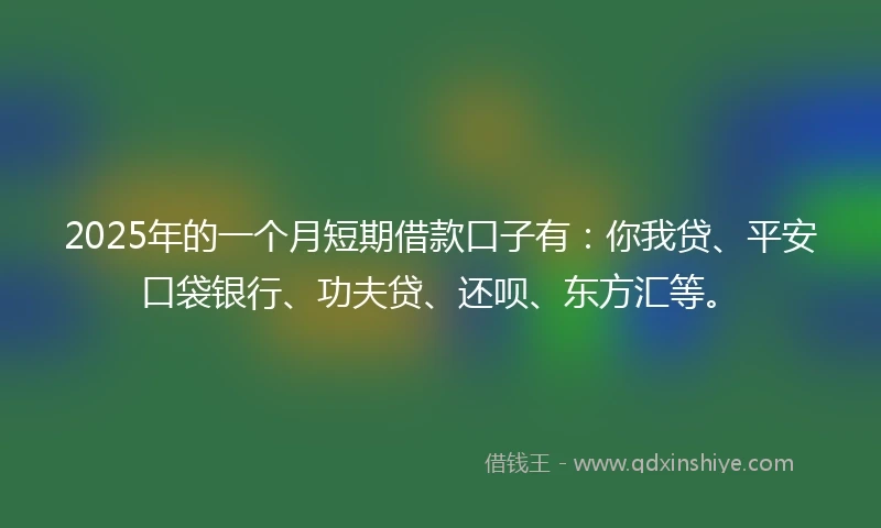 2025年的一个月短期借款口子有：你我贷、平安口袋银行、功夫贷、还呗、东方汇等。