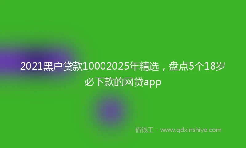2021黑户贷款10002025年精选，盘点5个18岁必下款的网贷app