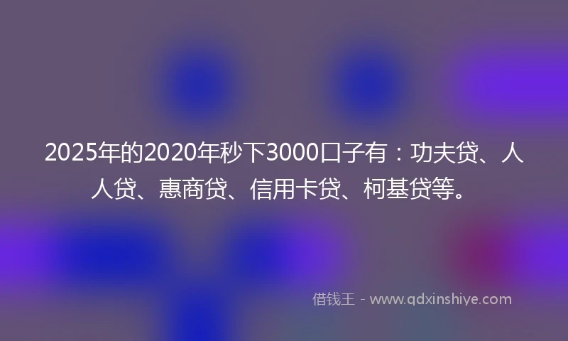 2025年的2020年秒下3000口子有：功夫贷、人人贷、惠商贷、信用卡贷、柯基贷等。