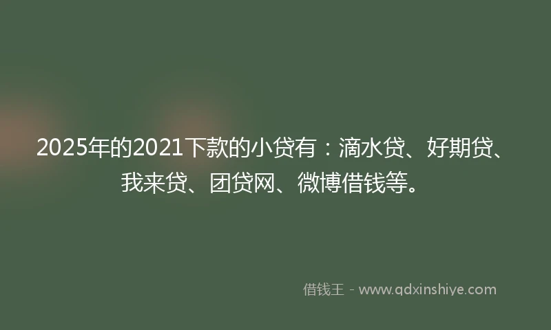 2025年的2021下款的小贷有：滴水贷、好期贷、我来贷、团贷网、微博借钱等。