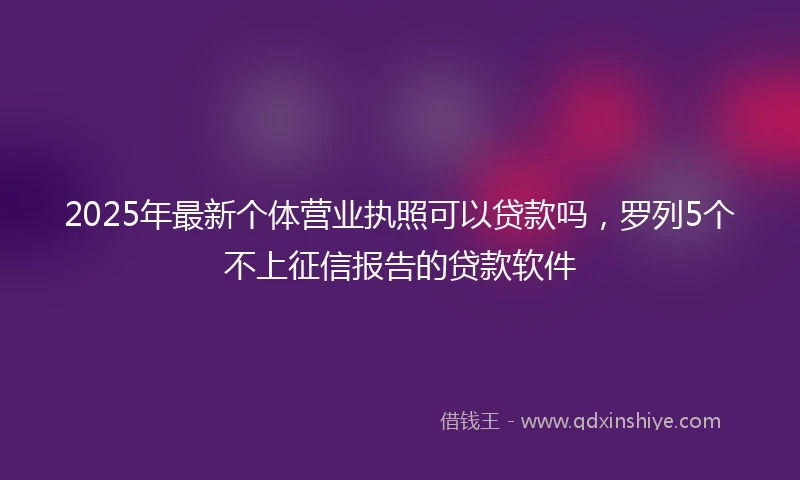 2025年最新个体营业执照可以贷款吗，罗列5个不上征信报告的贷款软件