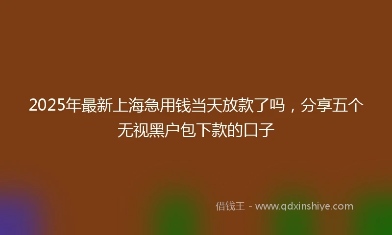 2025年最新上海急用钱当天放款了吗，分享五个无视黑户包下款的口子