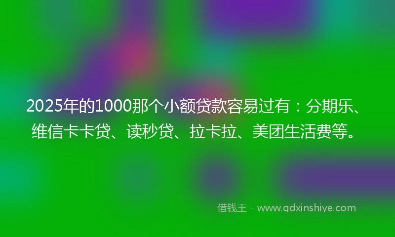 2025年的1000那个小额贷款容易过有：分期乐、维信卡卡贷、读秒贷、拉卡拉、美团生活费等。