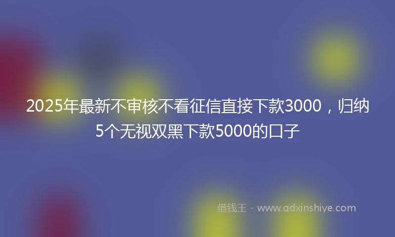 2025年最新不审核不看征信直接下款3000，归纳5个无视双黑下款5000的口子