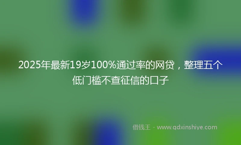 2025年最新19岁100%通过率的网贷，整理五个低门槛不查征信的口子