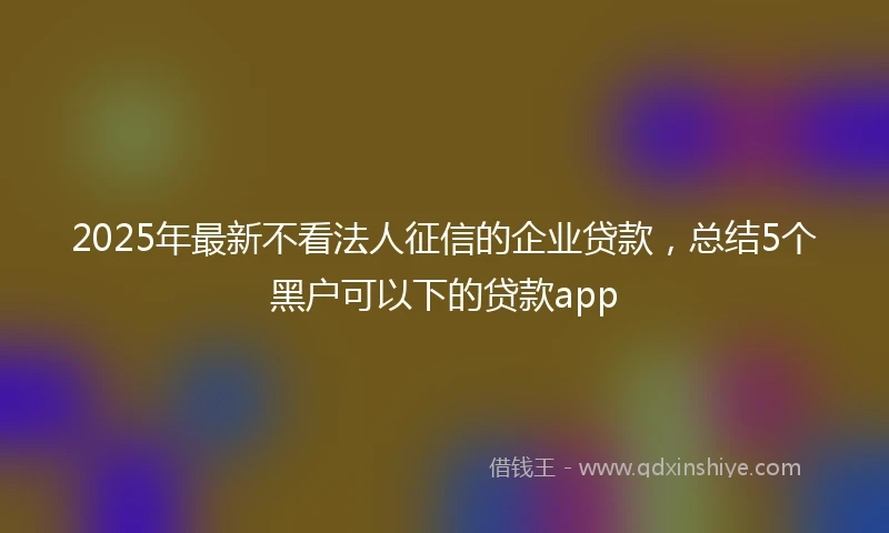 2025年最新不看法人征信的企业贷款，总结5个黑户可以下的贷款app