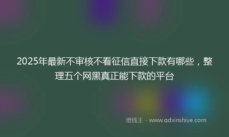 2025年最新不审核不看征信直接下款有哪些，整理五个网黑真正能下款的平台