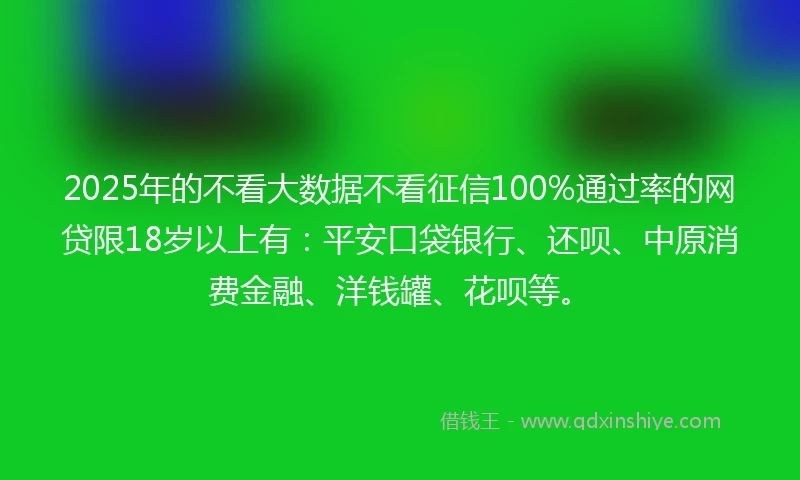 2025年的不看大数据不看征信100%通过率的网贷限18岁以上有：平安口袋银行、还呗、中原消费金融、洋钱罐、花呗等。