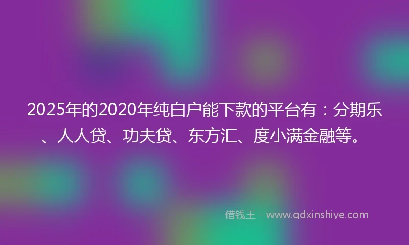 2025年的2020年纯白户能下款的平台有：分期乐、人人贷、功夫贷、东方汇、度小满金融等。