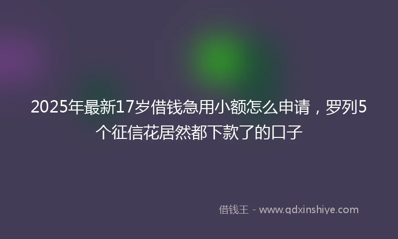 2025年最新17岁借钱急用小额怎么申请，罗列5个征信花居然都下款了的口子