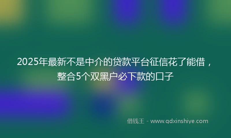 2025年最新不是中介的贷款平台征信花了能借，整合5个双黑户必下款的口子