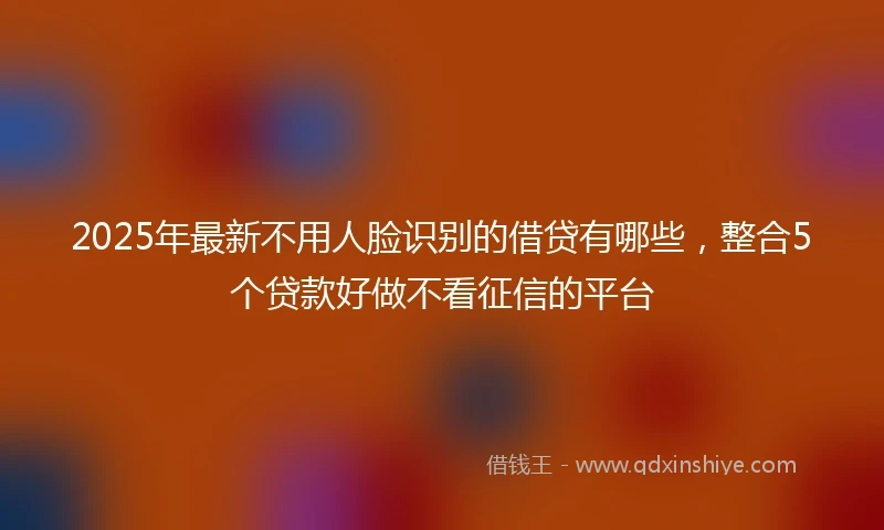 2025年最新不用人脸识别的借贷有哪些，整合5个贷款好做不看征信的平台