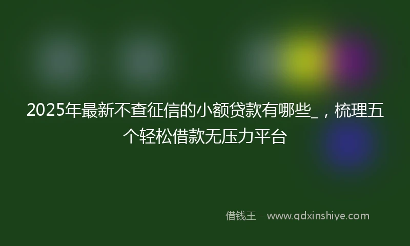 2025年最新不查征信的小额贷款有哪些_，梳理五个轻松借款无压力平台