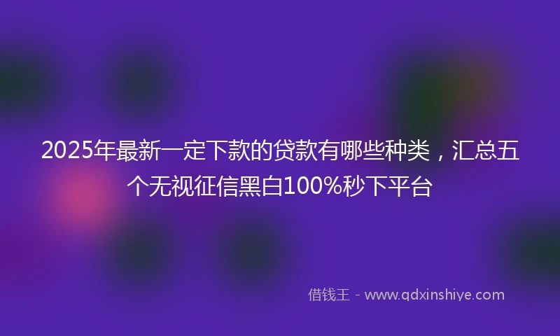 2025年最新一定下款的贷款有哪些种类，汇总五个无视征信黑白100%秒下平台