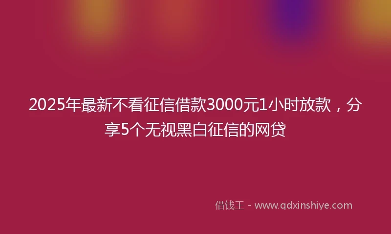 2025年最新不看征信借款3000元1小时放款，分享5个无视黑白征信的网贷