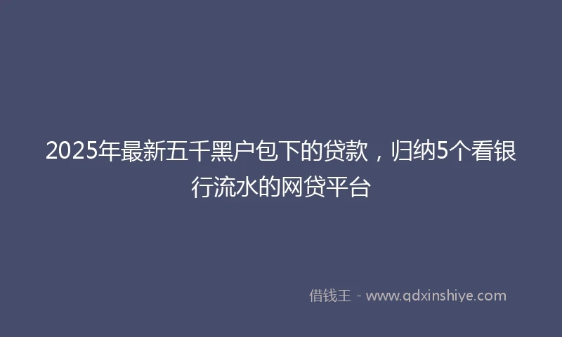 2025年最新五千黑户包下的贷款，归纳5个看银行流水的网贷平台